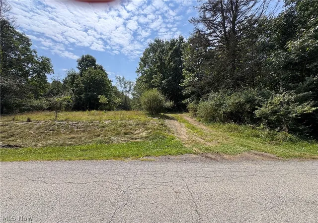 Photo 3 of Land for sale at Tomahawk Dr, Negley, OH 44441 | MLS# 5233847 | Listing updated on 2026-08-07