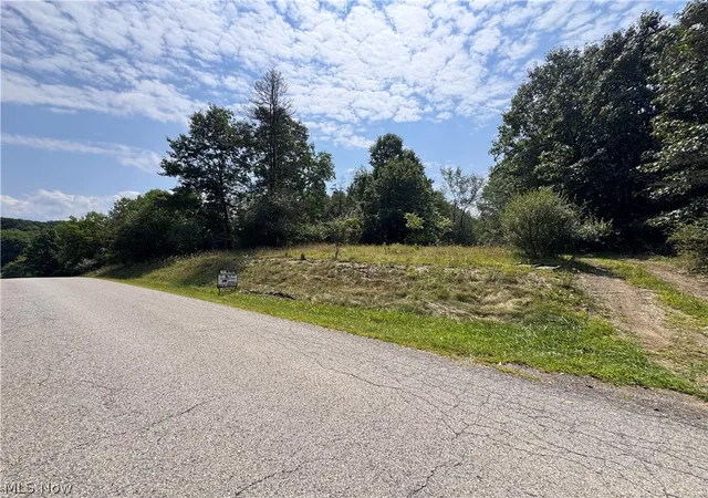 Photo 3 of Land for sale at Tomahawk Dr, Negley, OH 44441 | MLS# 5233847 | Listing updated on 2026-08-07