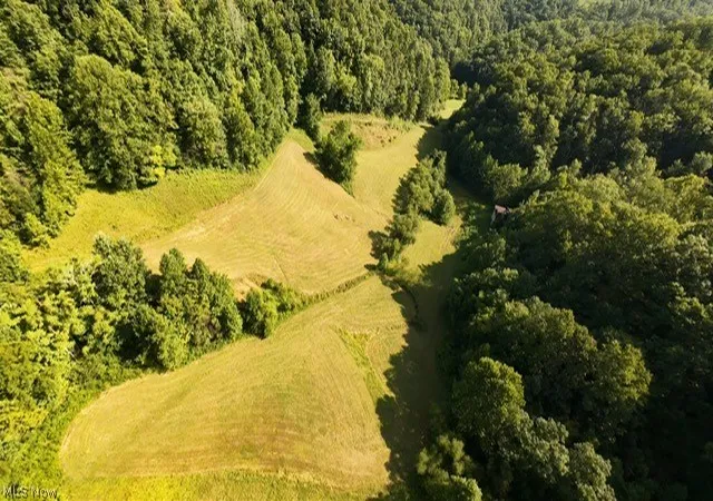 Photo 1 of Land for sale at 001 Mud Frk Rd, Chloe, WV 25235 | MLS# 5234929 | Listing updated on 2026-08-14