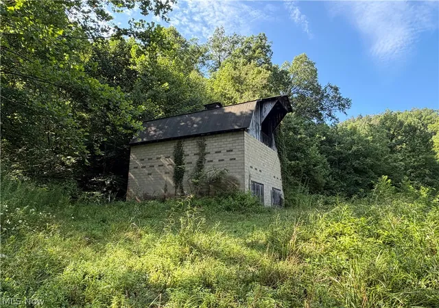 Photo 3 of House for sale at 001 Mud Frk Rd, Chloe, WV 25235 | MLS# 5234929 | Listing updated on 2026-08-14