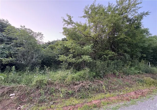 Photo 2 of Land for sale at Britton Rd, Senecaville, OH 43780 | MLS# 5235529 | Listing updated on 2026-08-11