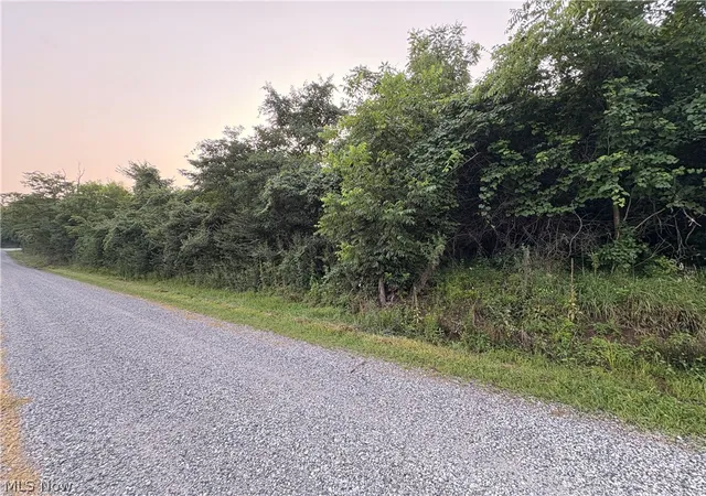 Photo 3 of Land for sale at Britton Rd, Senecaville, OH 43780 | MLS# 5235529 | Listing updated on 2026-08-11