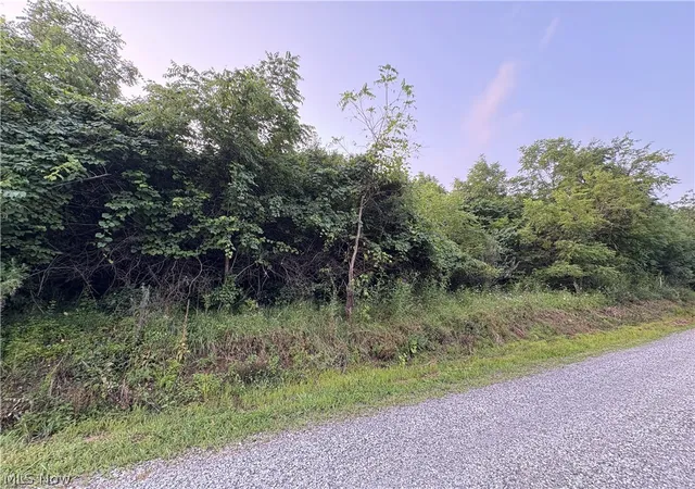 Photo 3 of Land for sale at Britton Rd, Senecaville, OH 43780 | MLS# 5235529 | Listing updated on 2026-08-11