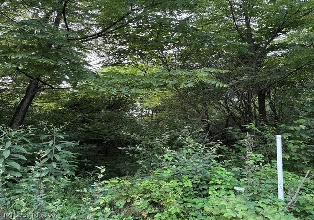 Photo 4 of Land for sale at Britton Rd, Senecaville, OH 43780 | MLS# 5235529 | Listing updated on 2026-08-11