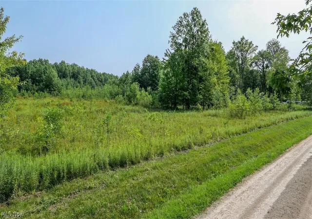 Photo 3 of Land for sale at 4523 Plank Rd, Orwell, OH 44076 | MLS# 5234438 | Listing updated on 2026-08-15
