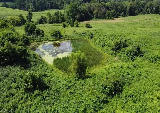 Photo 20 of Land for sale at 471 Tullis Rd, Amesville, OH 45711 | MLS# 5236029 | Listing updated on 2026-08-12
