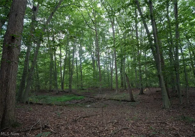 Photo 11 of Land for sale at 0 Beach Rd, Wadsworth, OH 44281 | MLS# 5233812 | Listing updated on 2026-08-13