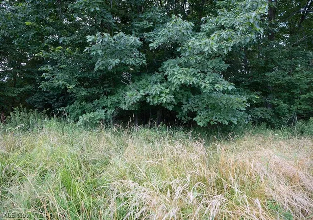 Photo 3 of Land for sale at 0 Beach Rd, Wadsworth, OH 44281 | MLS# 5233812 | Listing updated on 2026-08-13