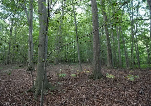 Photo 4 of Land for sale at 0 Beach Rd, Wadsworth, OH 44281 | MLS# 5233812 | Listing updated on 2026-08-13