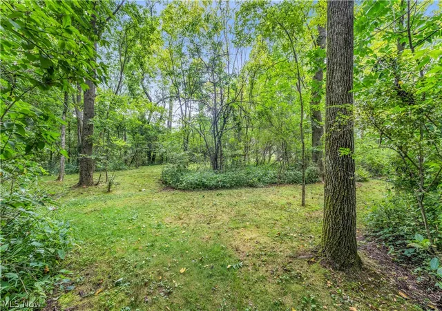 Photo 50 of Single family home for sale at 2940 Robert Gary Ct, Medina, OH 44256 | MLS# 5235989 | Listing updated on 2026-08-13