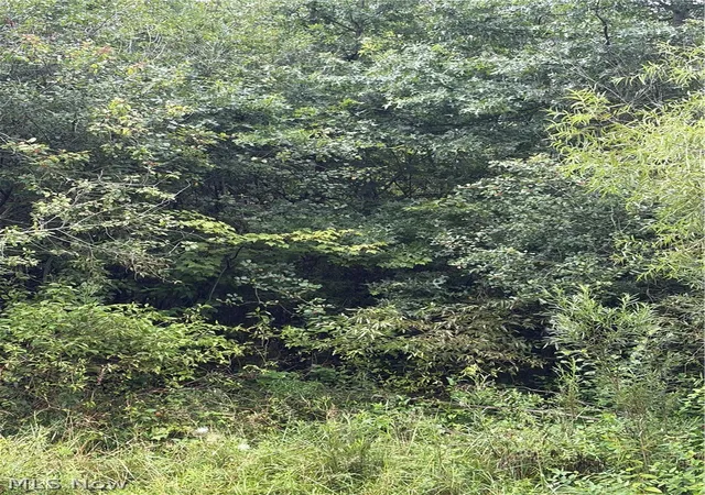 Photo 1 of Land for sale at Jacobs Rd, Youngstown, OH 44505 | MLS# 5235627 | Listing updated on 2026-08-14