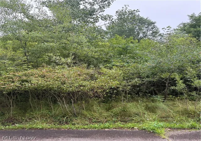 Photo 1 of Land for sale at Eastview Ave, Youngstown, OH 44505 | MLS# 5235659 | Listing updated on 2026-08-14