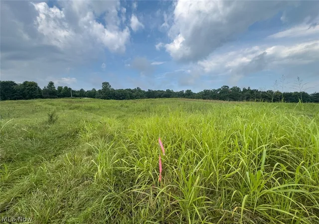 Photo 5 of Land for sale at Parcel 5 Wildwood Lake Rd, Coolville, OH 45742 | MLS# 5236397 | Listing updated on 2026-08-17