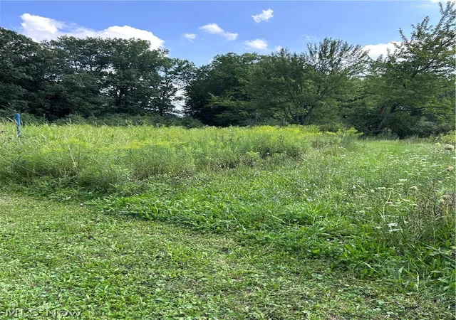 Photo 4 of Land for sale at 0 Templeton Rd NW, Warren, OH 44481 | MLS# 5236426 | Listing updated on 2026-08-28