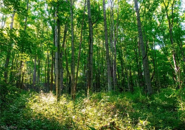 Photo 34 of Land for sale at 9982 SW Erie Ave, Beach City, OH 44608 | MLS# 5236501 | Listing updated on 2026-08-14