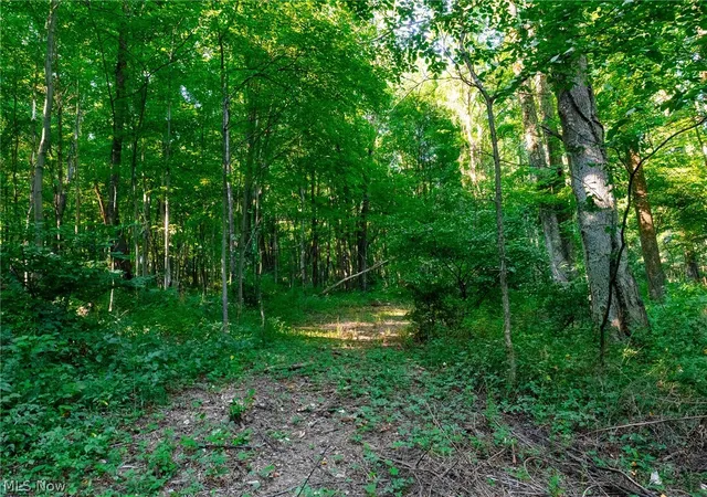 Photo 4 of Land for sale at 9982 SW Erie Ave, Beach City, OH 44608 | MLS# 5236501 | Listing updated on 2026-08-14