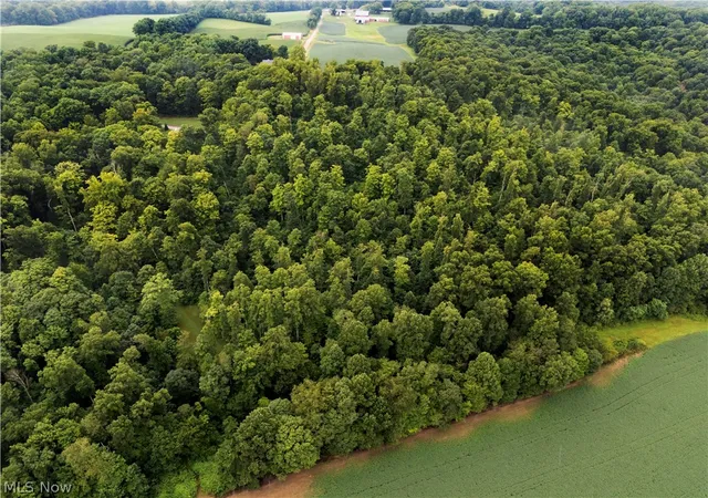 Photo 1 of Land for sale at 0 Township Rd 252, Killbuck, OH 44637 | MLS# 5236105 | Listing updated on 2026-09-15