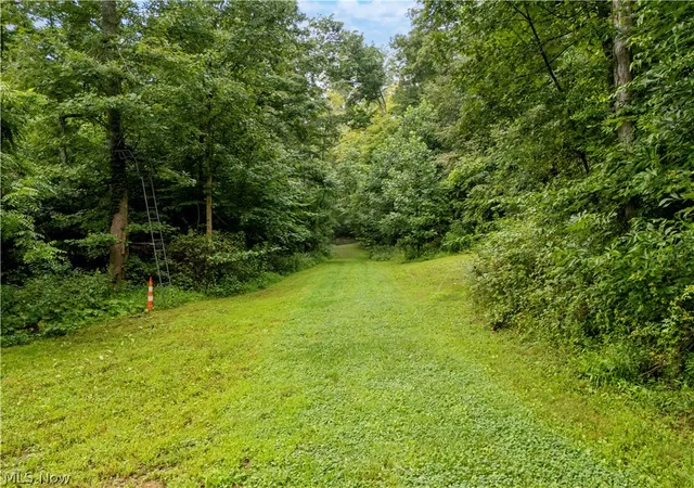 Photo 3 of Land for sale at 0 Township Rd 252, Killbuck, OH 44637 | MLS# 5236105 | Listing updated on 2026-09-15