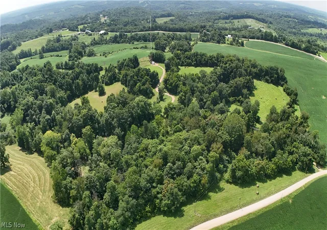Photo 3 of Land for sale at Downing Rd, Stockport, OH 43787 | MLS# 5237436 | Listing updated on 2026-08-18