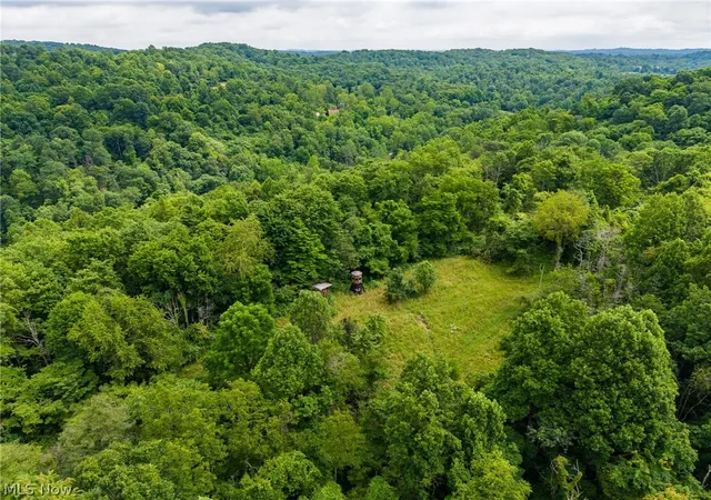 Photo 2 of Land for sale at Sheepskin Rd, Lower Salem, OH 45745 | MLS# 5237089 | Listing updated on 2026-08-19