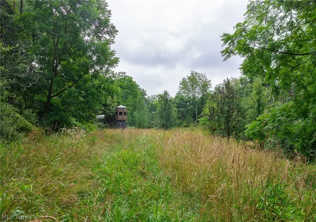 Photo 3 of Land for sale at Sheepskin Rd, Lower Salem, OH 45745 | MLS# 5237089 | Listing updated on 2026-08-19