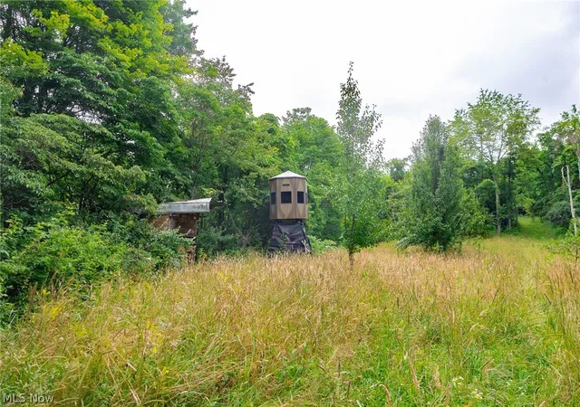 Photo 4 of Land for sale at Sheepskin Rd, Lower Salem, OH 45745 | MLS# 5237089 | Listing updated on 2026-08-19