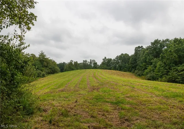 Photo 4 of Land for sale at Harrons Ridge Rd, Dexter City, OH 45727 | MLS# 5237108 | Listing updated on 2026-08-19