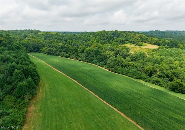 Photo 2 of Land for sale at 40977 Township Rd 64b, Dresden, OH 43821 | MLS# 5237126 | Listing updated on 2026-08-19