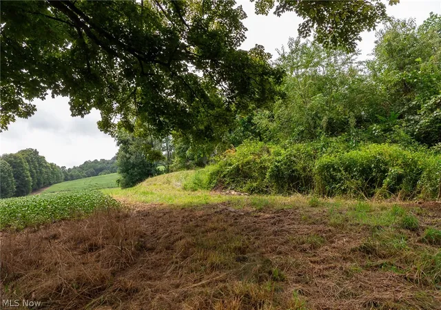 Photo 50 of Land for sale at 40977 Township Rd 64b, Dresden, OH 43821 | MLS# 5237126 | Listing updated on 2026-08-19