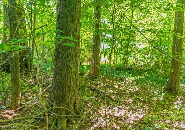 Photo 3 of Land for sale at 7559 Doylestown Rd, Sterling, OH 44276 | MLS# 5238162 | Listing updated on 2026-08-27