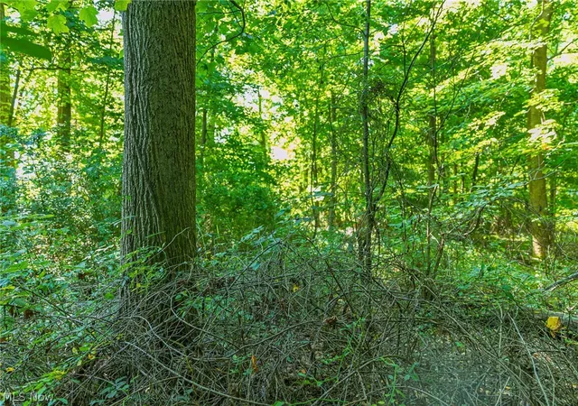 Photo 4 of Land for sale at 7559 Doylestown Rd, Sterling, OH 44276 | MLS# 5238162 | Listing updated on 2026-08-27