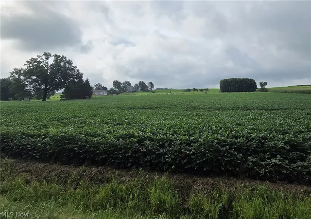 Photo 2 of Sale Pending at Goudy Rd, Orrville, OH 44667 | MLS# 5238266 | Listing updated on 2026-09-18