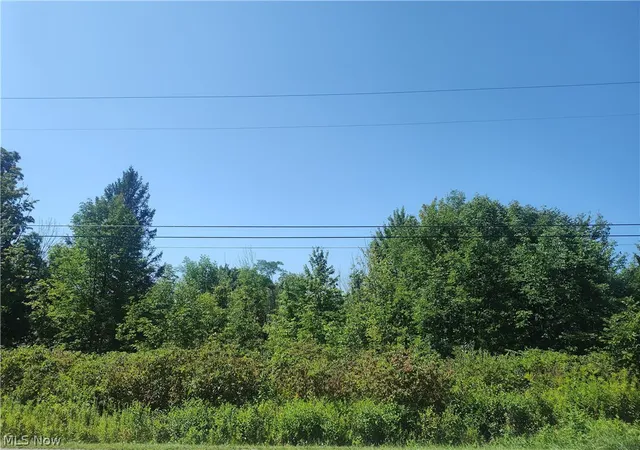 Photo 4 of Land for sale at Vl State Rd, Kingsville, OH 44048 | MLS# 5238372 | Listing updated on 2026-09-29