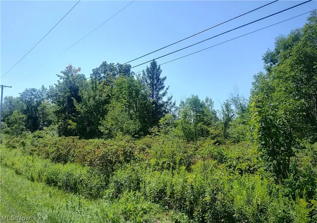 Photo 8 of Land for sale at Vl State Rd, Kingsville, OH 44048 | MLS# 5238372 | Listing updated on 2026-08-21