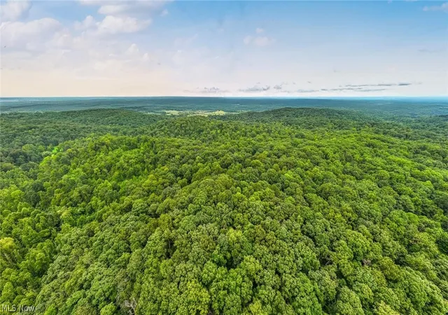 Photo 1 of Land for sale at 0 Bald Knob Stiversville Rd, Portland, OH 45770 | MLS# 5238646 | Listing updated on 2026-08-27