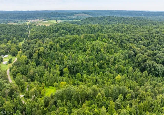 Photo 4 of Land for sale at 0 Bald Knob Stiversville Rd, Portland, OH 45770 | MLS# 5238646 | Listing updated on 2026-08-27