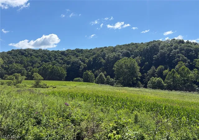 Photo 2 of Sale Pending at 38923 Stonehouse Rd, Woodsfield, OH 43793 | MLS# 5238696 | Listing updated on 2026-09-15