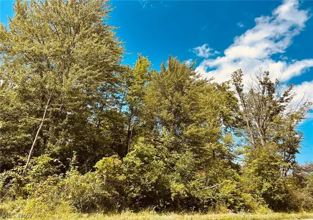 Photo 2 of Land for sale at Lake Rd, Medina, OH 44256 | MLS# 5238706 | Listing updated on 2026-08-31