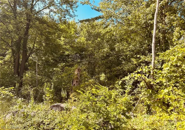 Photo 3 of Land for sale at Lake Rd, Medina, OH 44256 | MLS# 5238706 | Listing updated on 2026-08-31
