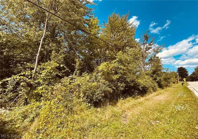 Photo 3 of Land for sale at Lake Rd, Medina, OH 44256 | MLS# 5238706 | Listing updated on 2026-08-31