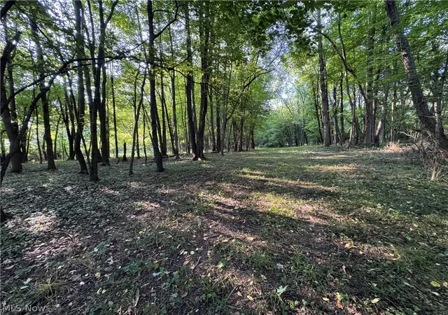 Photo 3 of Land for sale at Antone Ave, Tallmadge, OH 44278 | MLS# 5238946 | Listing updated on 2026-08-23