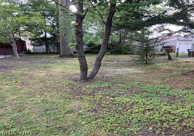 Photo 3 of Land for sale at Waterbury Rd, Lakewood, OH 44107 | MLS# 5239316 | Listing updated on 2026-08-25