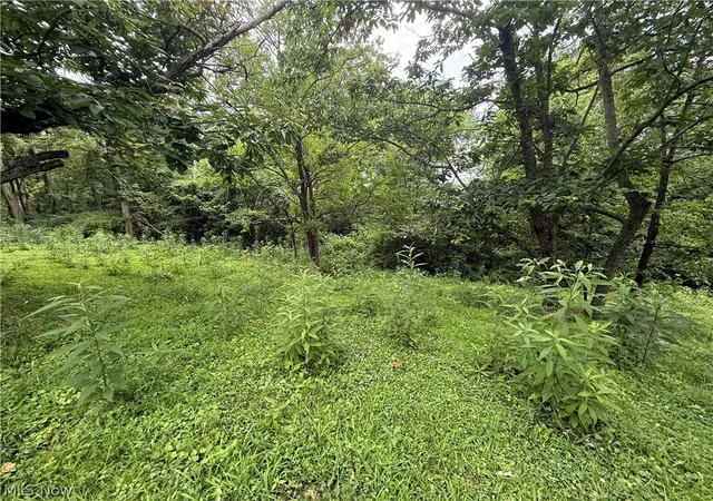 Photo 1 of Land for sale at 3823 County Rd 16, Corning, OH 43730 | MLS# 5239032 | Listing updated on 2026-08-25