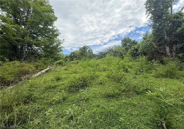 Photo 3 of Land for sale at 3823 County Rd 16, Corning, OH 43730 | MLS# 5239032 | Listing updated on 2026-08-25