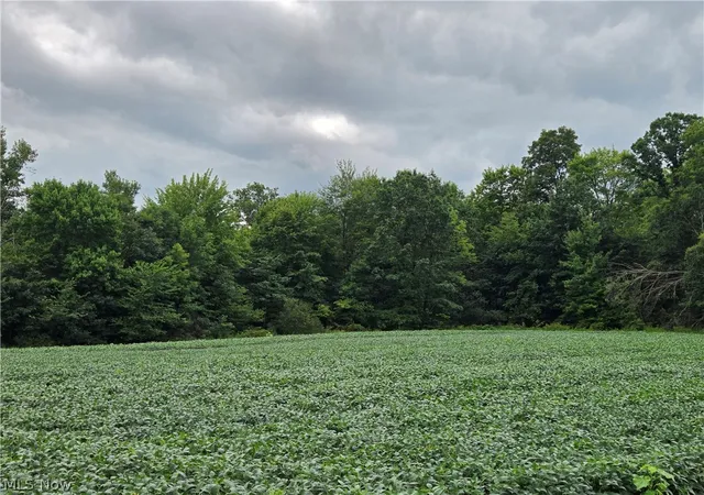 Photo 3 of Sale Pending at Norton Road, Garrettsville, OH 44231 | MLS# 5239499 | Listing updated on 2026-09-22