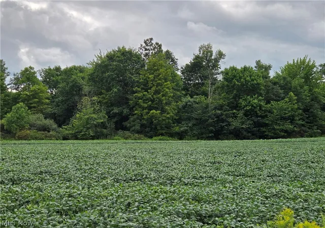 Photo 3 of Sale Pending at Norton Road, Garrettsville, OH 44231 | MLS# 5239499 | Listing updated on 2026-09-22