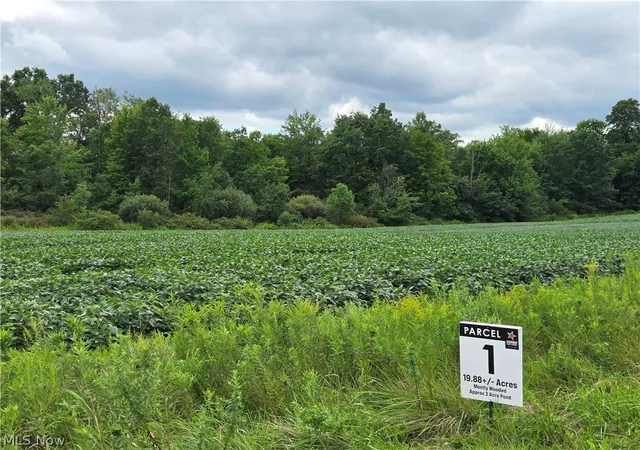 Photo 4 of Sale Pending at Norton Road, Garrettsville, OH 44231 | MLS# 5239499 | Listing updated on 2026-09-22
