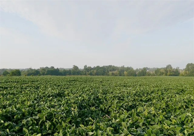 Photo 2 of Sale Pending at N Kohler Rd, Orrville, OH 44667 | MLS# 5239591 | Listing updated on 2026-09-21