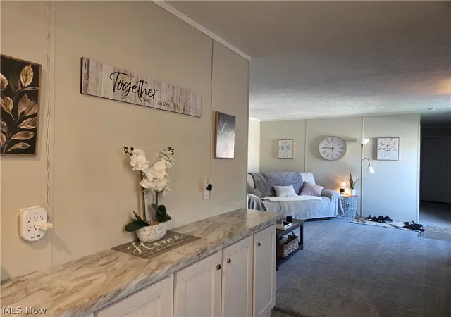 Photo 17 of Sale Pending at 10039 State Route 700 #28, Mantua, OH 44255 | MLS# 5239832 | Listing updated on 2026-10-06