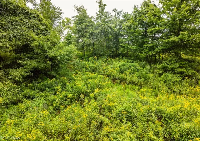 Photo 11 of Land for sale at 2428 Applegate Rd, Lucas, OH 44843 | MLS# 5239838 | Listing updated on 2026-08-26